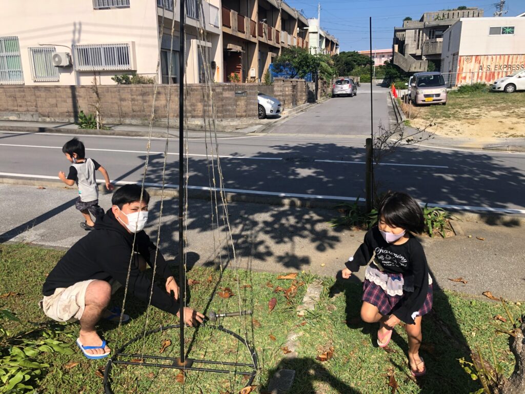 つきしろ区イルミネーション事業